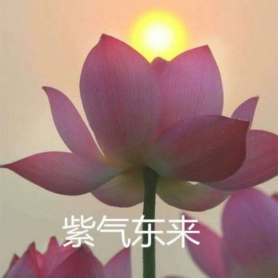 365best体育app